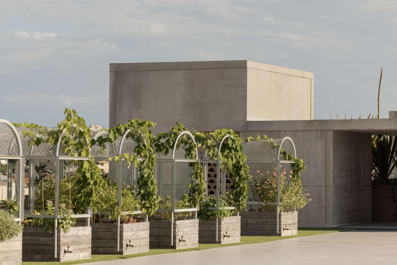 The Calile Hotel Brisbane Bagian luar foto The winery at H.L. Stubb's vineyard